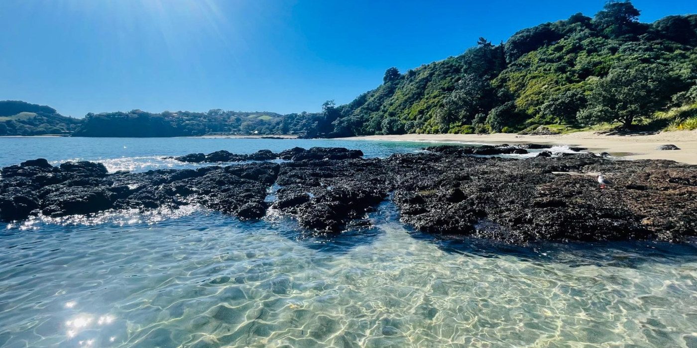 Clear turquoise water on a Waiheke beach