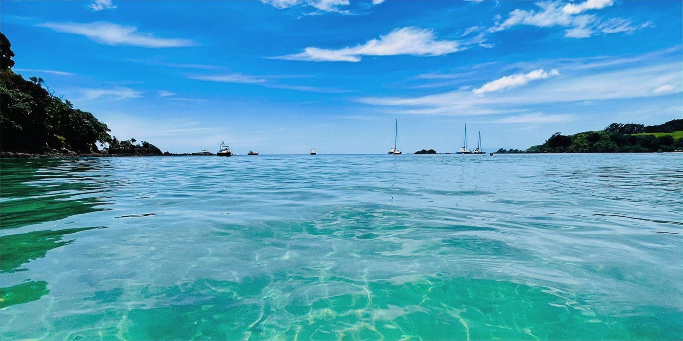 Yachts anchored off Palm Beach, Waiheke